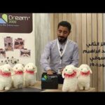 سحب عيد الاضحى 2022